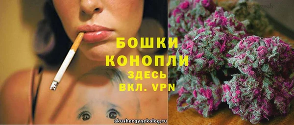PSILOCYBIN Навашино
